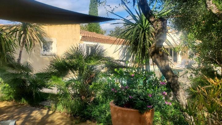 Le Clos Olives Comps  Zewnętrze zdjęcie